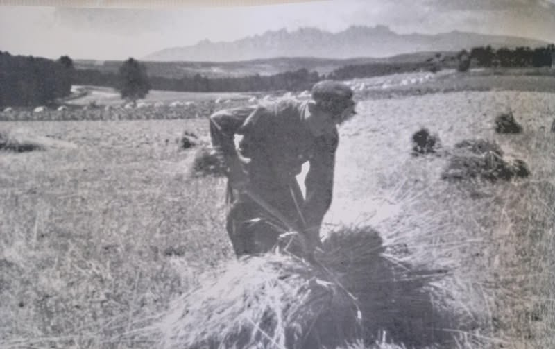 El término Castilla.